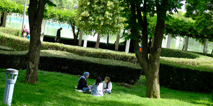 çimlerde oturan 3 kişi ve ağaç