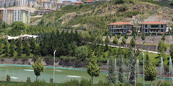 Kuzey Yıldızı yeşil alanlar