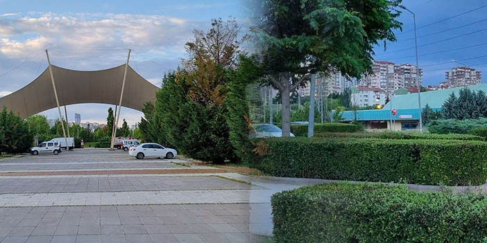 harikalar diyarı metro durağı