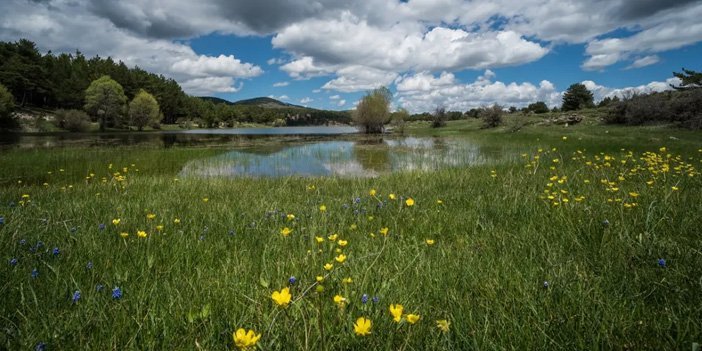 Ankara Sorgun Tabiat Parkı