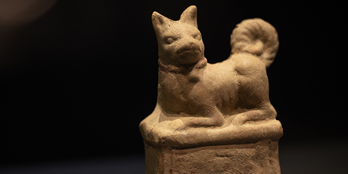 Çocukça Şeyler: Geçmişten Günümüze Çocuk, Oyun, Oyuncak