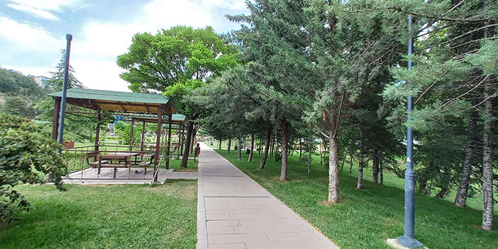 Çoban Mektebi, Milli Mücadele ve Kurtuluş Müzesi içerisindeki ağaçlar