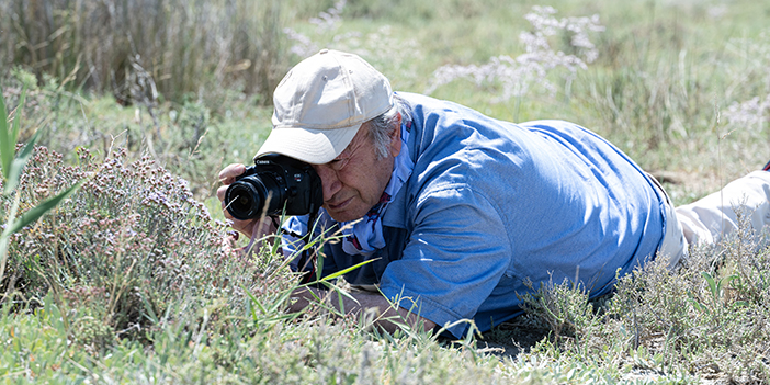 ankara'da Anadolu Yer Kuduz Otu'nu inceleyen fotoğrafçı