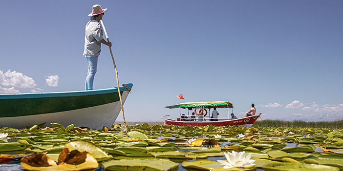 Beyşehir Gölü nilüfer bahçesi