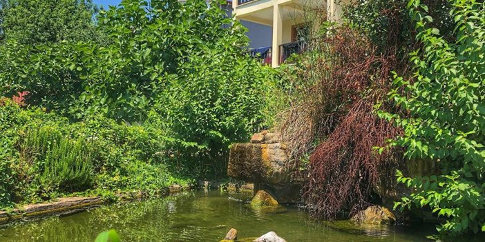 Kuzuluk kaplıcaları yeşillik