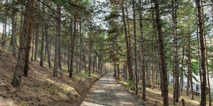 Karaköy mesire alanı yürüyüş yolu