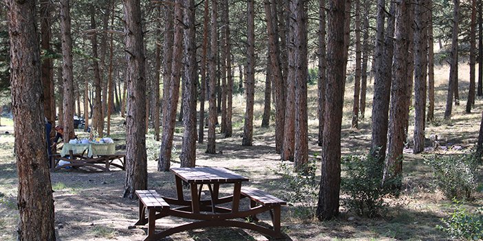 Karaköy mesire alanı