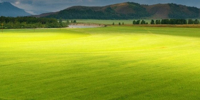 Ankara arsa fiyatları