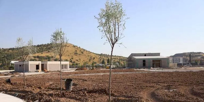 Ova Çayı Rekreasyon Alanı'nda yetiştirlen ağaçlar