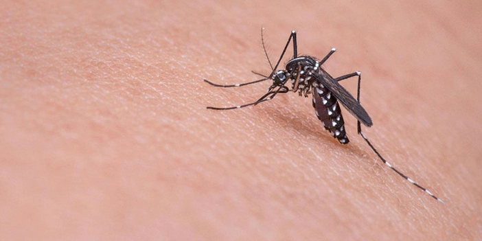 sivrisinek ısırığı kaşıntısı nasıl geçer, ne iyi gelir