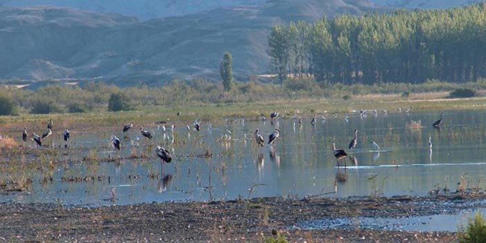 Nallıhan Kuş Cenneti