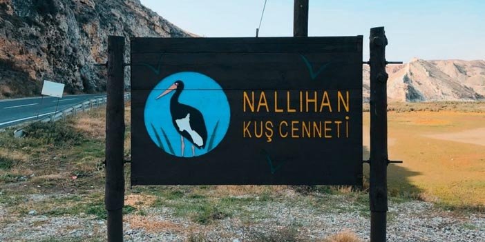 Nallıhan Kuş Cennetine nasıl, gidilir?