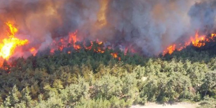 orman-yangini-4.jpg