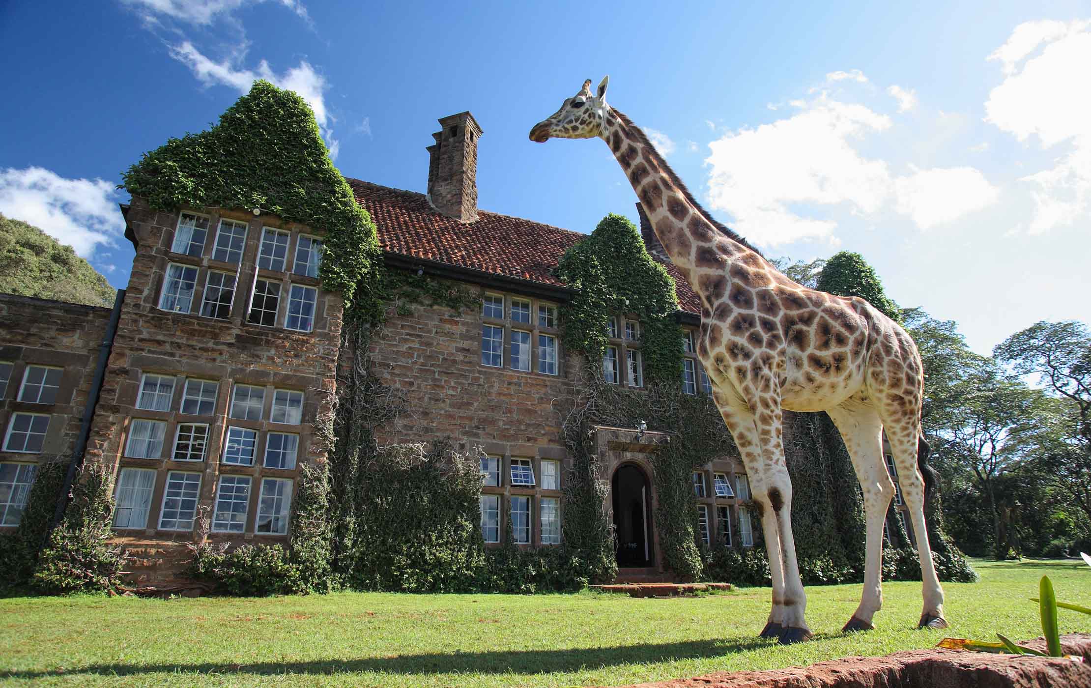 giraffe-manor-kenya.jpg