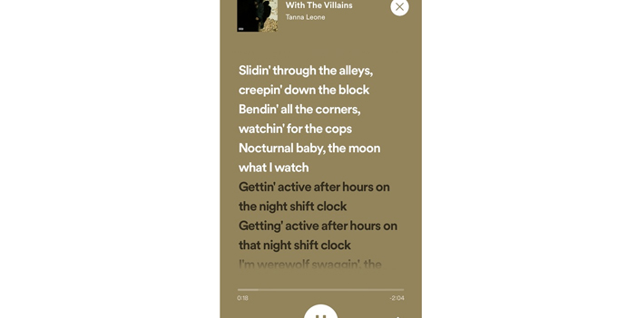 Spotify şarkı sözleri
