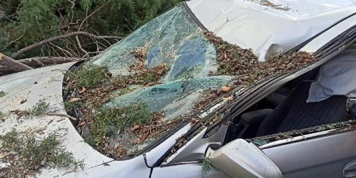 Amasya’yı fırtına vurdu: Ağaç otomobilin üzerine devrildi