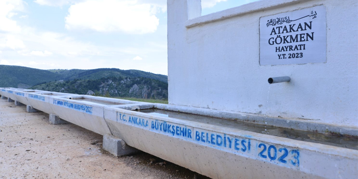 abb.jpg