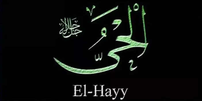 el-hayy-1.jpg