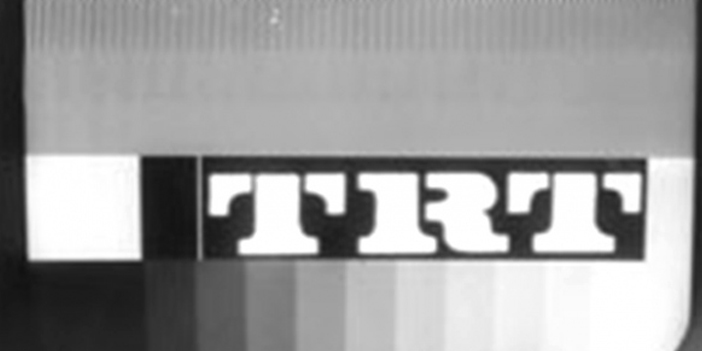 trt-4.jpg