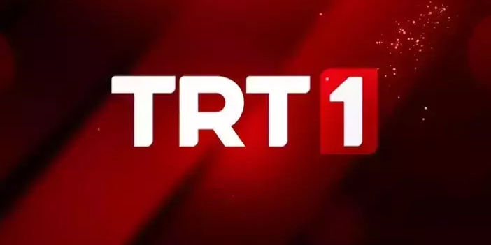 trt-6.jpg