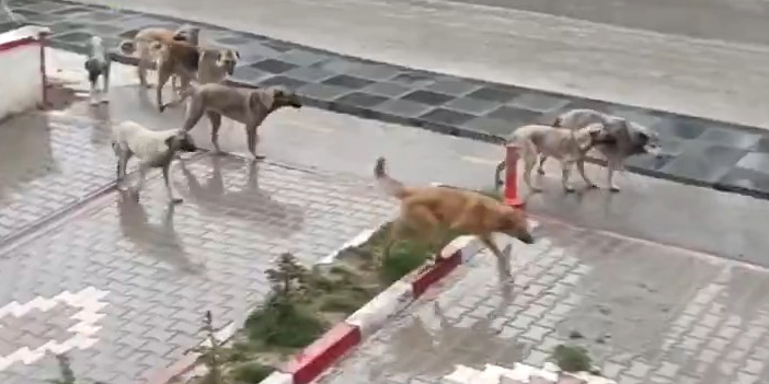 ankara-mamak-2.jpg