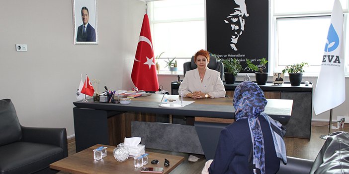 deva-partisi-1-001.jpg