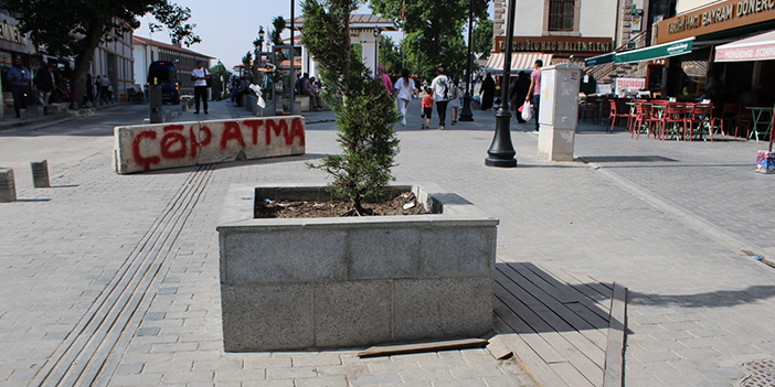 ruveyda-asliipek-2.jpg