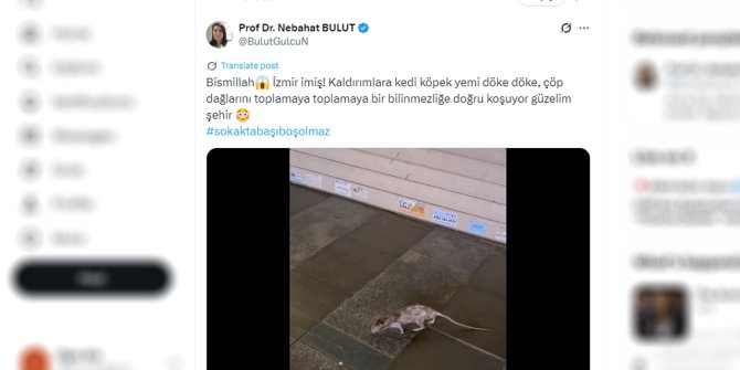 nebahat-bulut-sosyal-medya.jpg