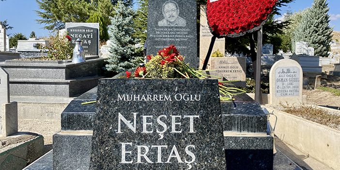 neset-ertas-6.jpg