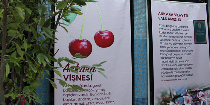 ankaranin-on-meyvesi-6.jpg