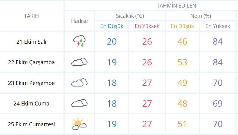 sali-mersin.jpg