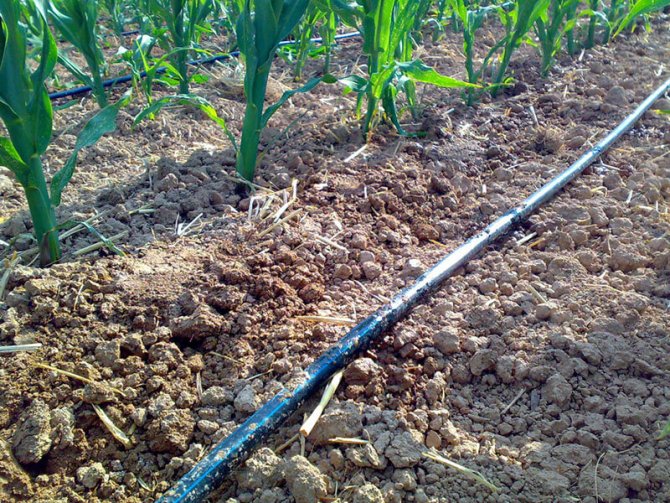 damlama-sulama-borusu.jpg