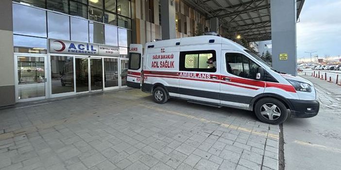 van-2.jpg
