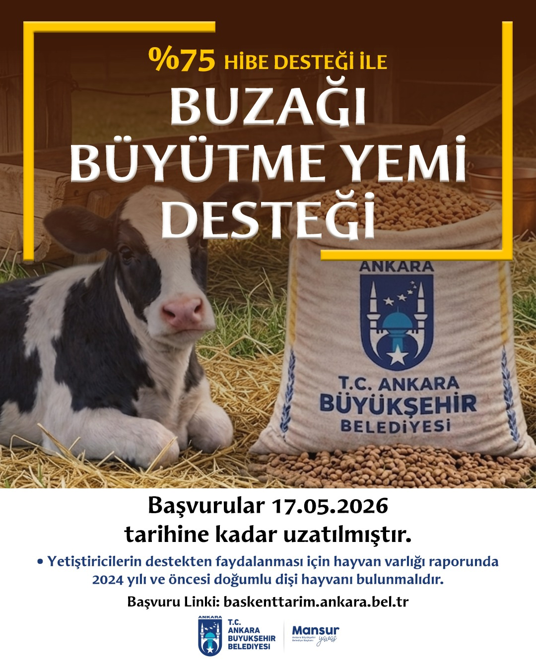 buzagi-3.jpg