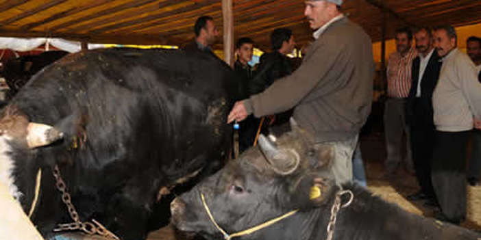 sincan-kesim-2.jpg