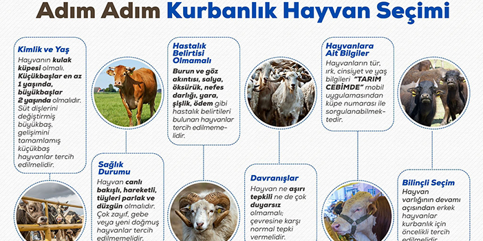 mamak-kurban.jpg