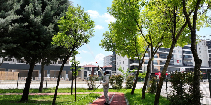 park-ve-bahceler-3.jpg