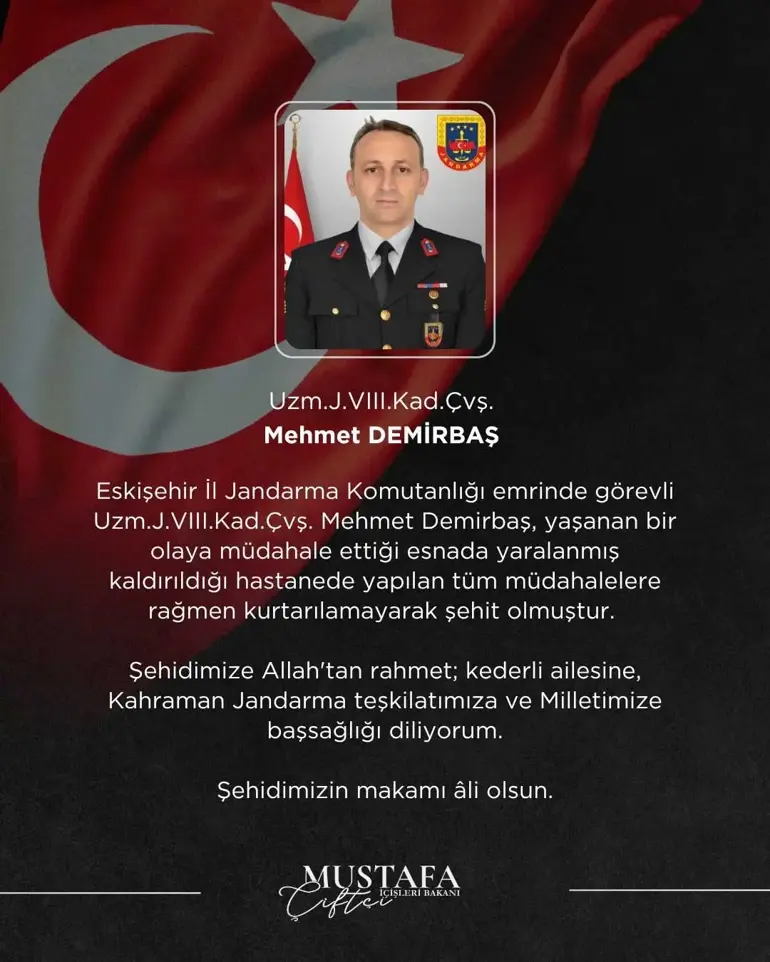 mihaliccik-2.jpg