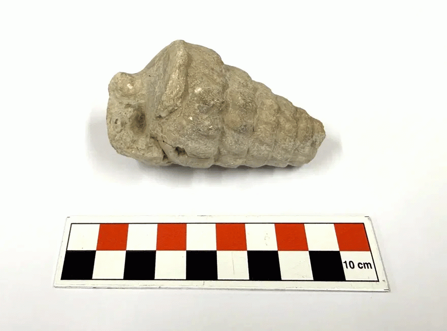 a02-001.gif