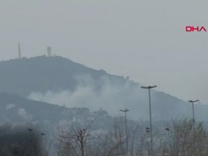 Büyükada'da ormanlık alanda yangın