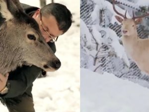Veysel Tiryaki’den Altınköy’ün geyikleriyle klip