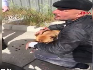 Tepki çeken olay: Köpeğini motosikletin arkasına bağlayarak sürükledi