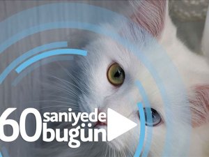 60 saniyede bugün (04 Temmuz 2019)