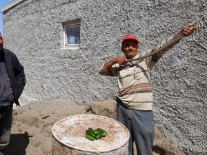 Eve giren yılanı elleriyle yakalayıp, doğaya bıraktı