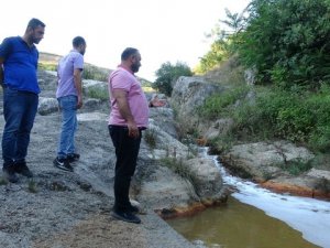 Dilovası Eynerce Deresi'nde kimyasal atık şüphesi