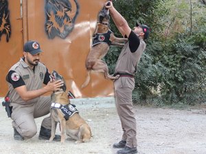 'Cadı', 'Pars' ve 'Tipi', Hakkari'de uyuşturucuya geçit vermiyor