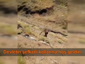 Hakkari'de bir terörist teslim oldu