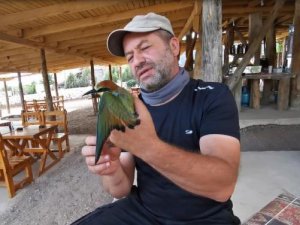 Arı kuşunu kurtarıp, eliyle su içirdi