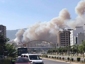 İskenderun'daki orman yangını yerleşim alanına sıçradı