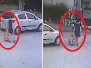 Bavula koyularak çalınan köpeğini dedektif gibi iz sürerek buldu